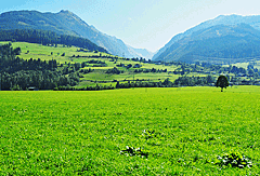 Blick auf die Berge