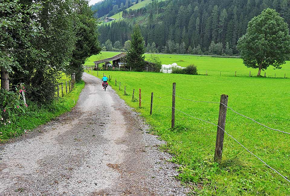 Radweg entlang von Weiden