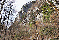 Steile Felswand