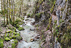 Schlucht eines Zuflusses