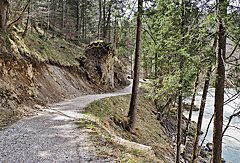 Naturweg an der Saalach