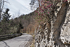 Asphaltierter Weg am Stausee