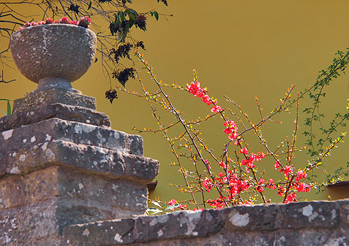 Die ersten Blüten im April