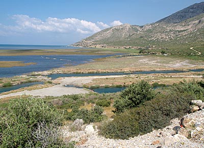 Radfahren in der Türkei: Oleanderhecken