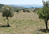 Blick auf die Bucht