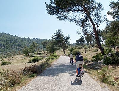 Radfahren in der Türkei: Auf in den schattigen Pinienwald