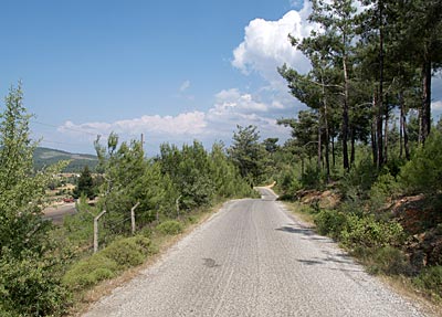 Radfahren in der Türkei: Auf in den schattigen Pinienwald