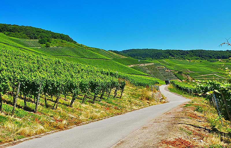 Radweg am Moselufer