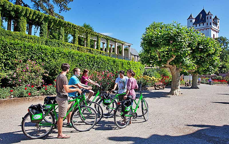 Kurfürstliche Burg in Eltville