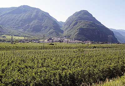 Typisch: Unten Obst - oben Berg