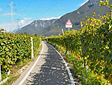 Durch die Weinberge