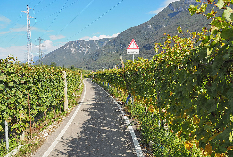 Durch die Weinberge