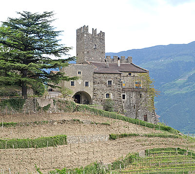 Die Burg Hochnaturns