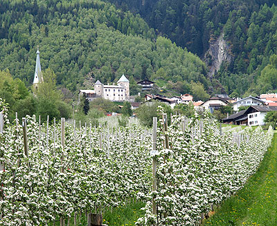 Prad am Stilser Joch