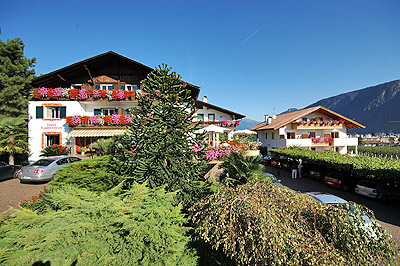 Hotel Traubenheim Nals