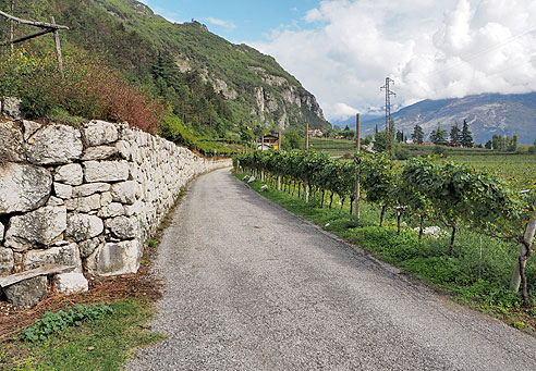 Durch die Weinberge