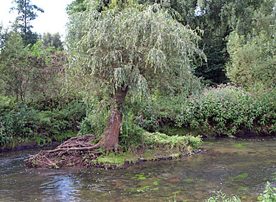 Radweg zwischen Weil der Stadt und Merklingen