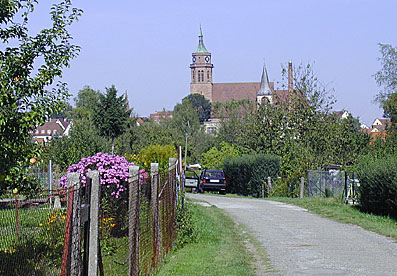 Würmtalradweg vor Weil der Stadt