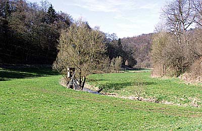 Oberes Würmtal nach Ehningen