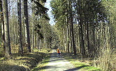 Waldetappe auf dem W&uuml;rmtalradweg