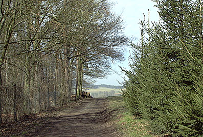 Würmtalradweg bei Hausen