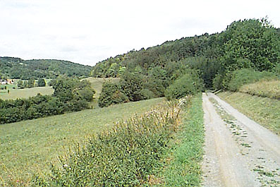 Würmtalradweg: Schöner Blick auf unberührte Natur