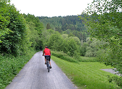 Würmtalradweg: Am Wald entlang
