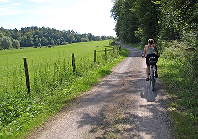 Würmtal: Am Wald entlang