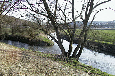Würmtalradweg: Zusammenfluß zwischen Schwippe und Würm