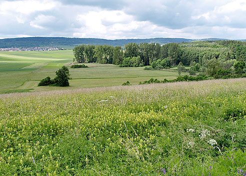 Blick aufs Würmtal