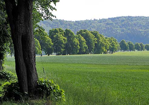 Kirche St. Nikolai Eisfeld