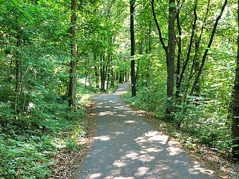 Radweg im Wald nach Veilsdorf