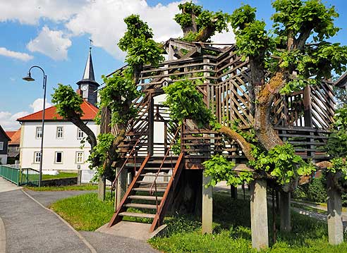 Tanzlinde in Sachsenbrunn