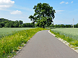 Neuer Radweg