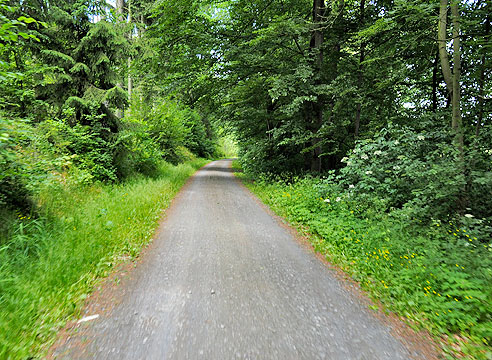 
Im Wald gehts weiter nach Wasungen