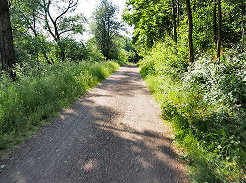 
Störche lieben Seen