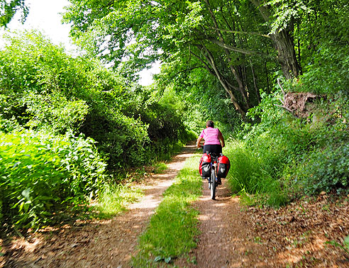 
Radweg am Waldrand