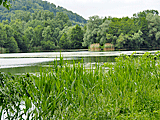 Balzerbornsee