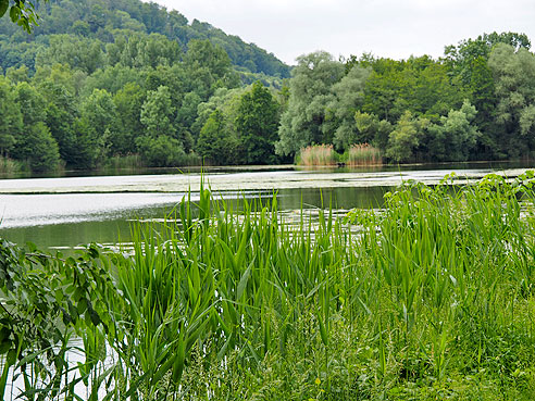 Schloss Rothestein