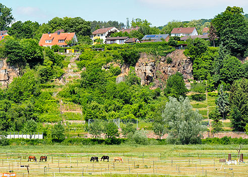 Weinberge Witzenhausen