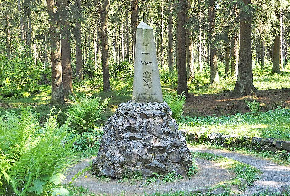 Dreistromstein im Wald
