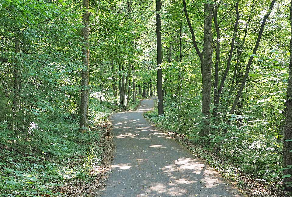 Radweg im Wald nach Veilsdorf