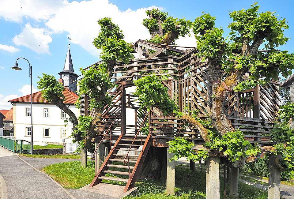 Tanzlinde in Sachsenbrunn