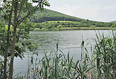 Großer Teich