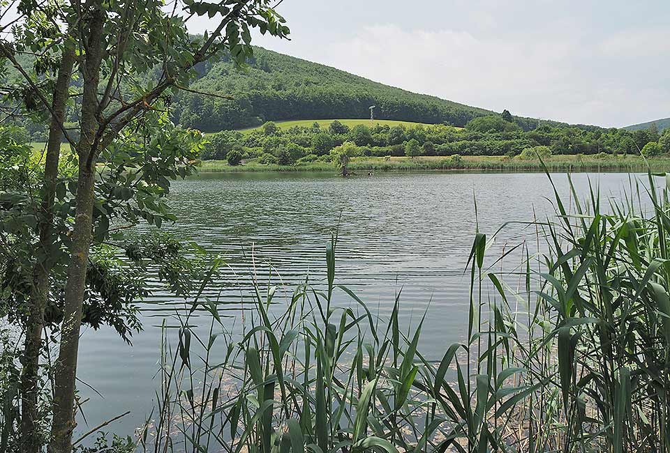 Großer Teich in Untermaßfeld