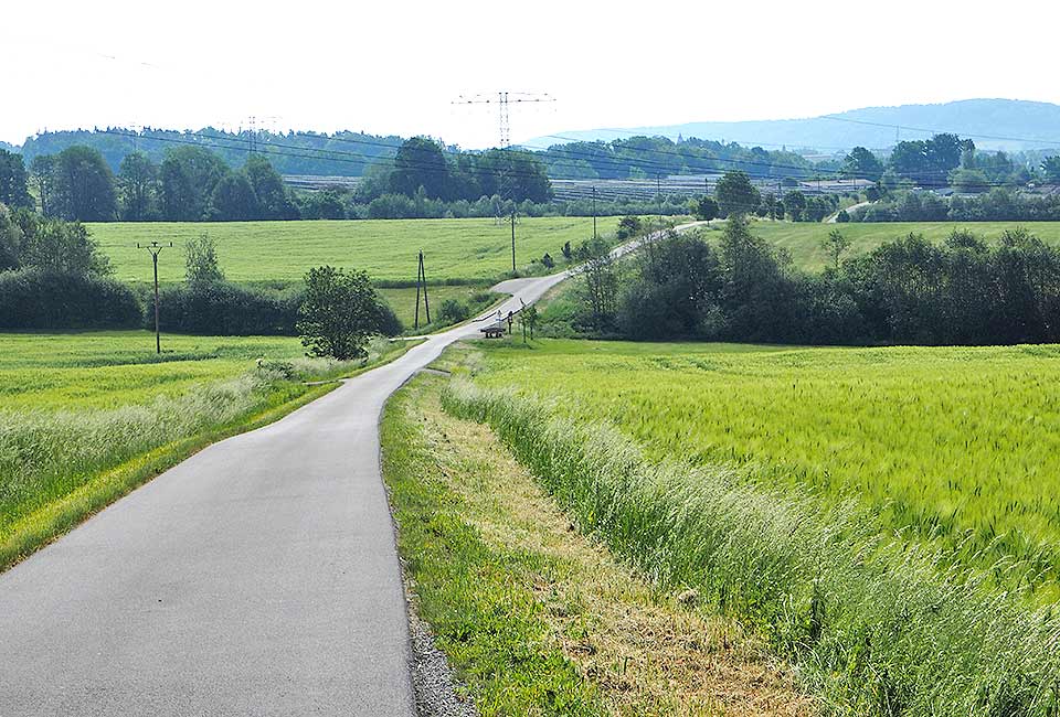 Leicht hügelig geht es weiter