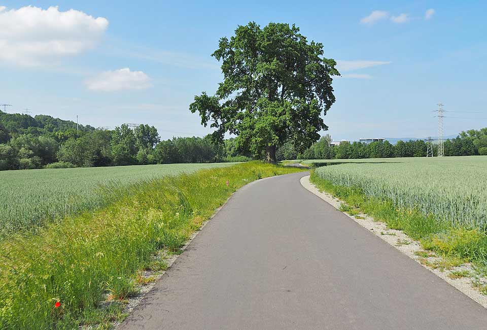 Neuer Radweg in Schwallungen