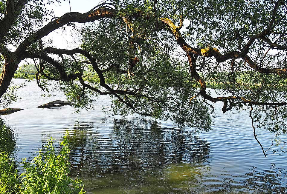 An der Seenplatte