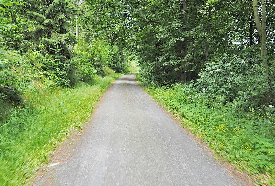 Im Wald gehts weiter nach Wasungen