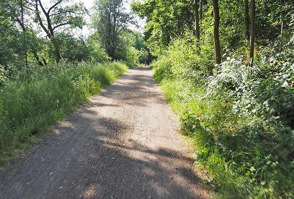 Wiesenweg nach Bad Salzungen